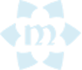 company background