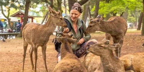 Excursion to Nara-2